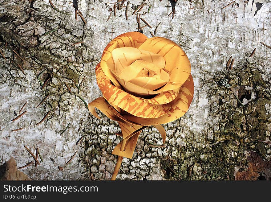 Rose flower made of birch bark on the background of old birch bark. Rose flower made of birch bark on the background of old birch bark