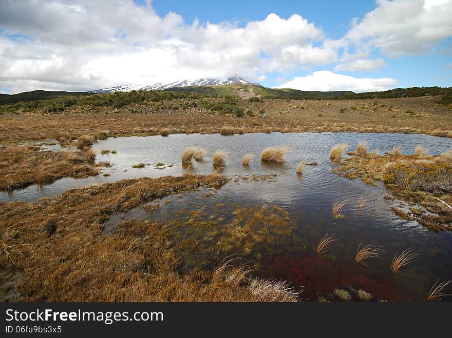 Mount Ruapehu in summer. Waitonga Falls Walking Track through Alpine terrain. Tongariro National Park. New Zealand. Mount Ruapehu in summer. Waitonga Falls Walking Track through Alpine terrain. Tongariro National Park. New Zealand