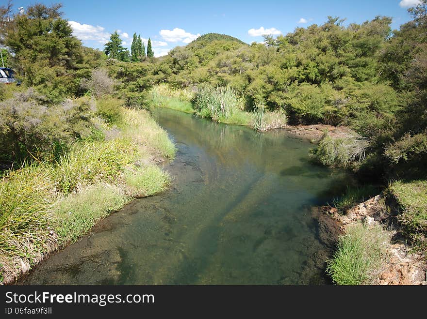 Source of water. Spring in North Island. New Zealand