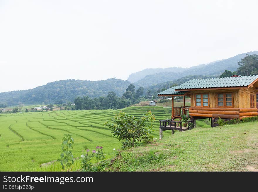 Home Adjacent Rice Fields