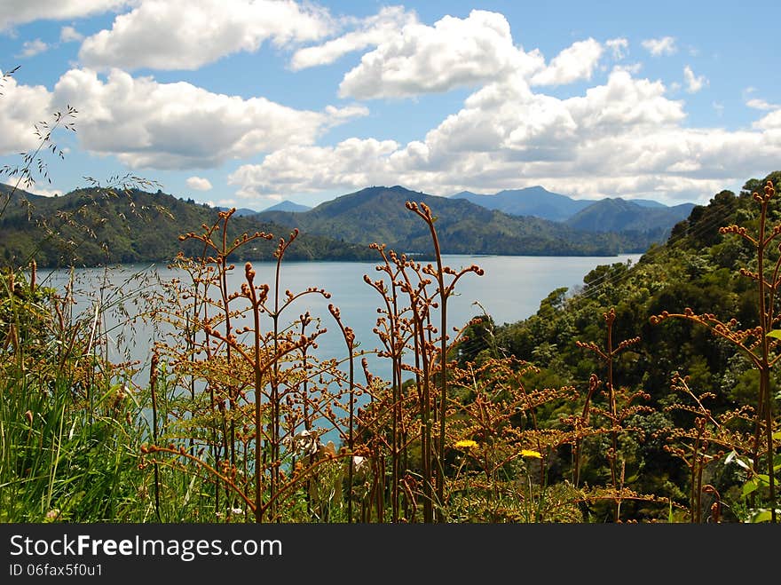 Scenic Marlborough Sounds