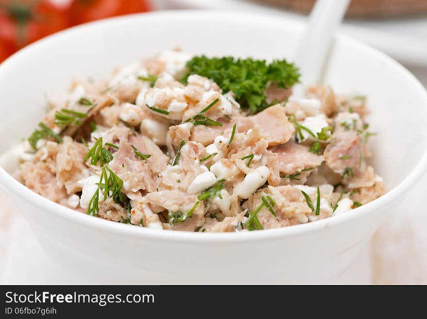 Pate with tuna, homemade cheese and dill, close-up