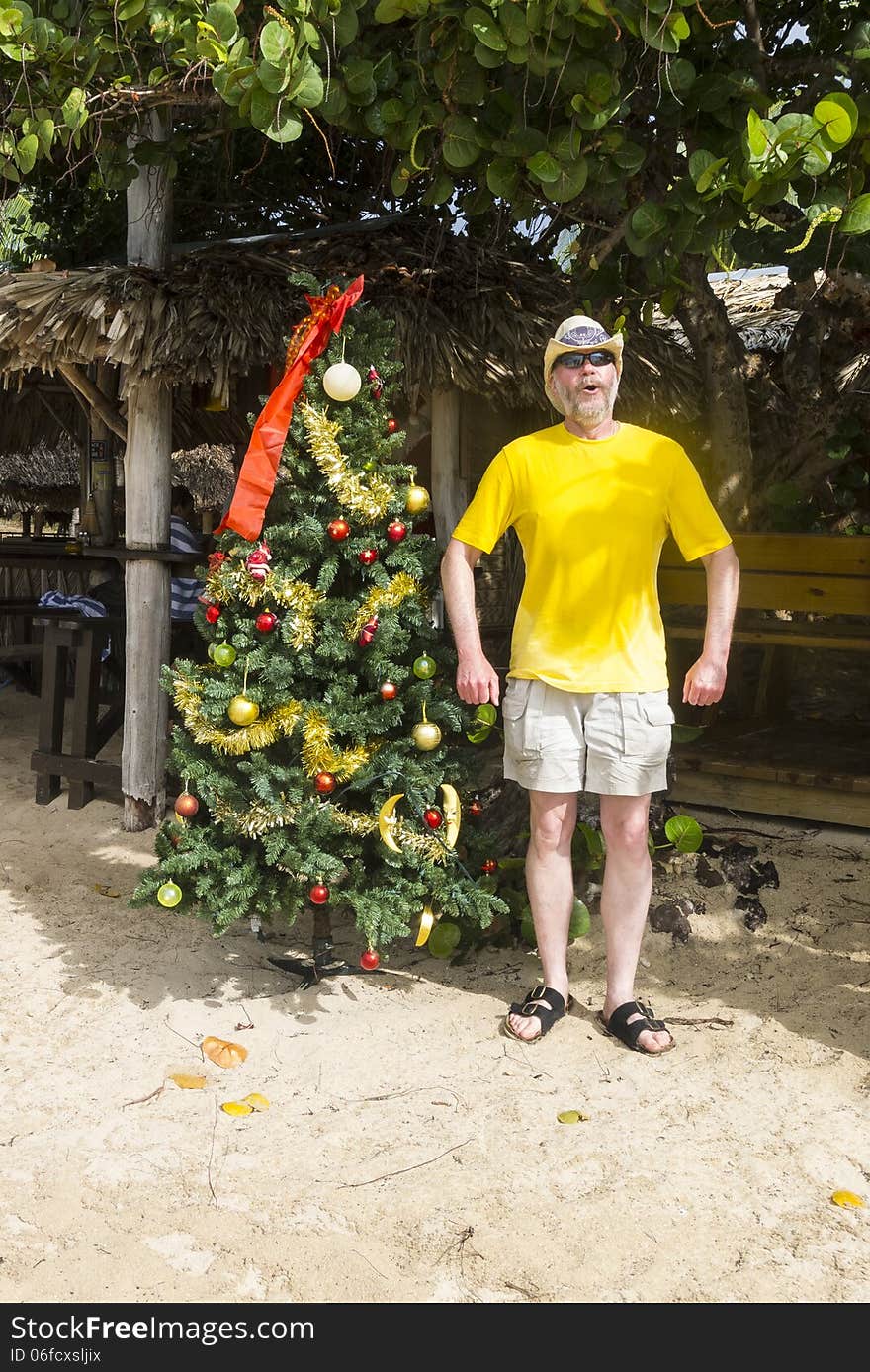 Man Standing Besides a Christmas Tree on a Beach