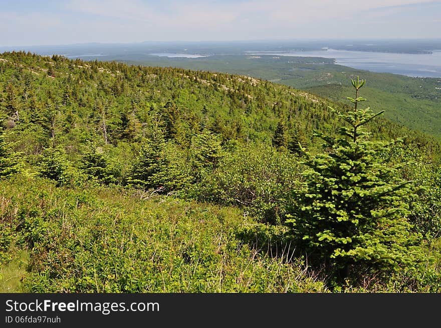 A view of the Maine coast from atop Cadillac Mountain. Cadillac Mountain is the highest point along the North Atlantic seaboard and the first place to view sunrise in the United States from October 7 through March 6. A view of the Maine coast from atop Cadillac Mountain. Cadillac Mountain is the highest point along the North Atlantic seaboard and the first place to view sunrise in the United States from October 7 through March 6.