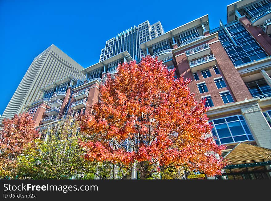 Autumn view of charlotte city skyline. Autumn view of charlotte city skyline