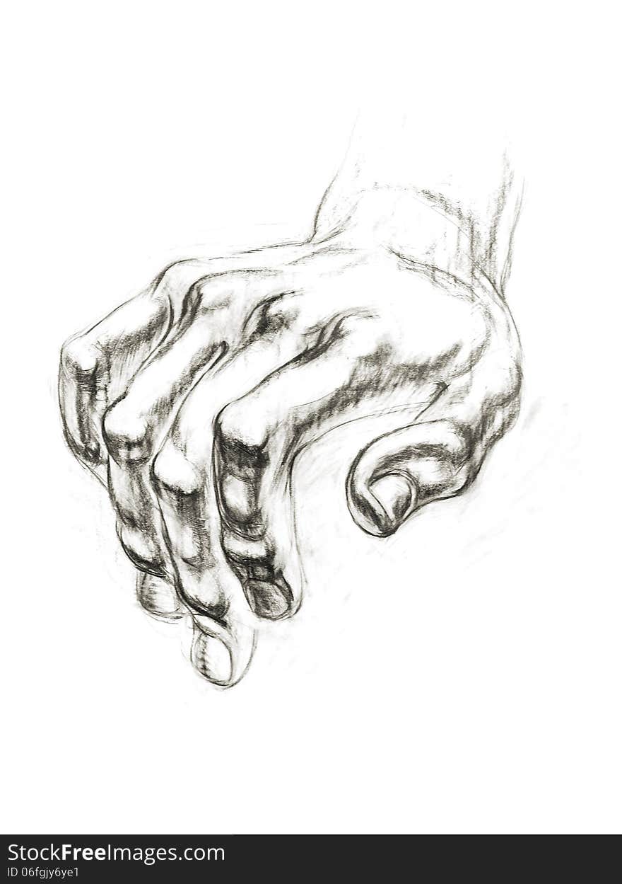 Academic drawing hands of David. Part of body. Hand-drawing in pencil