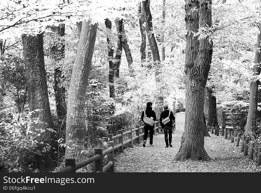 Couple walking in autumn forest, Tokyo, Japan in Black and White