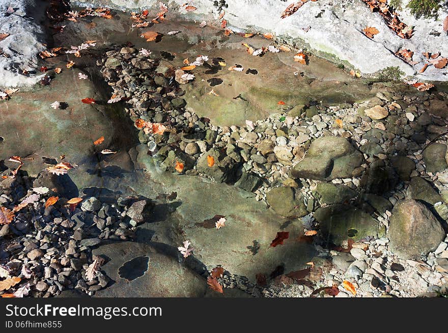 Small backwater in a mountain stream