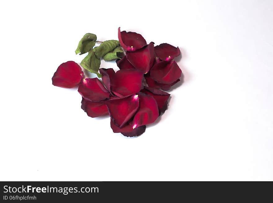 Fallen leaves of red roses can be used for cosmetic purposes. Fallen leaves of red roses can be used for cosmetic purposes