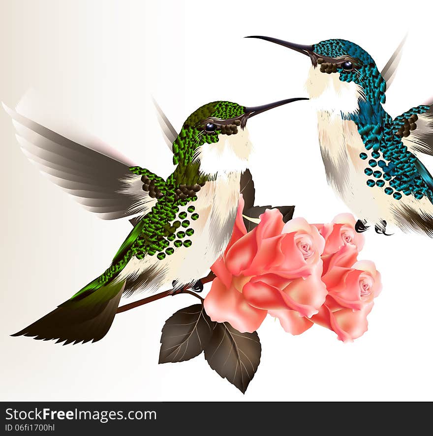 Cute valentine card with couple of humming bird and roses