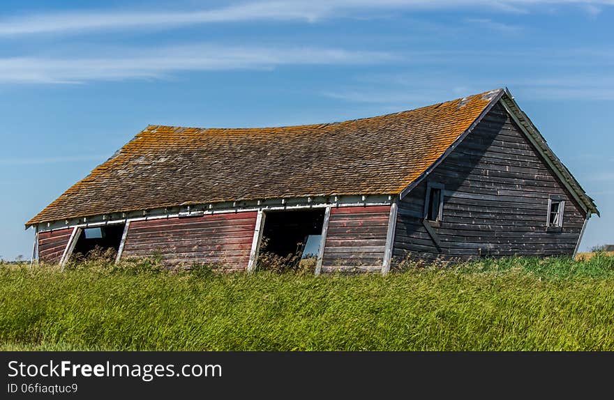 Shed