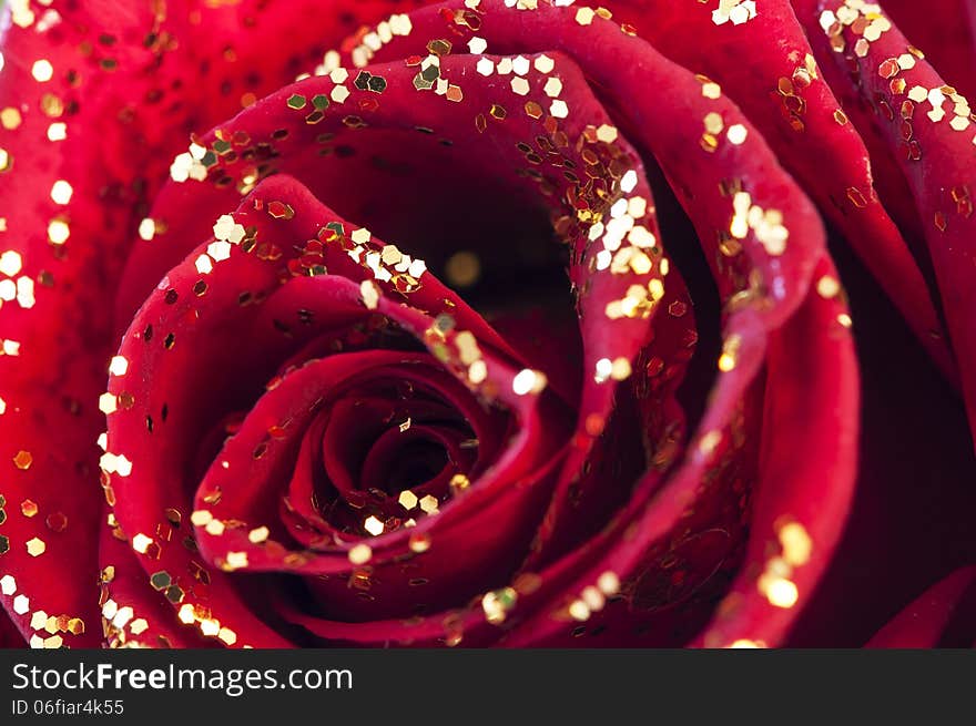 A red rose with gold glitter