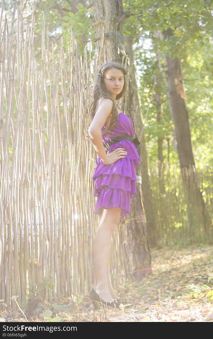 Nice girl in violet dress posing near wicker fence in the forest. Nice girl in violet dress posing near wicker fence in the forest