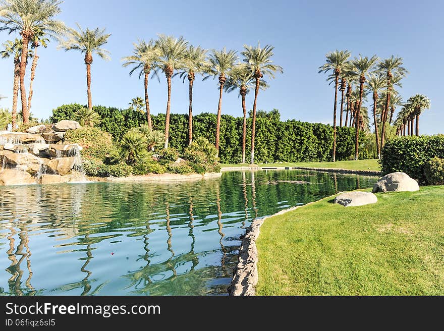 Fountain of water over boulders with row of palm trees. Fountain of water over boulders with row of palm trees