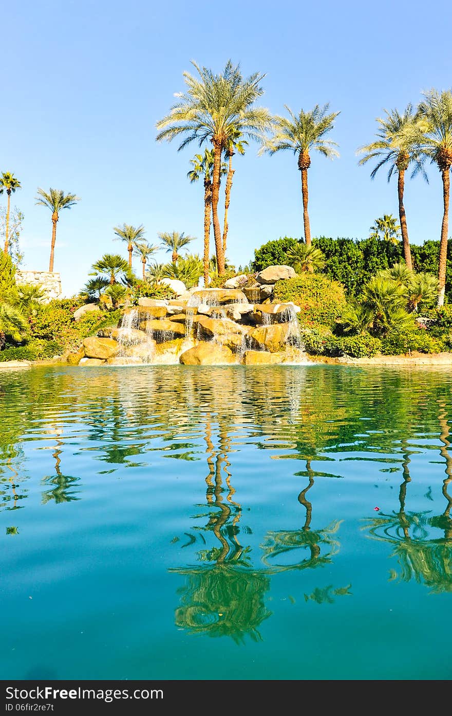 Pool of water with row of palm trees