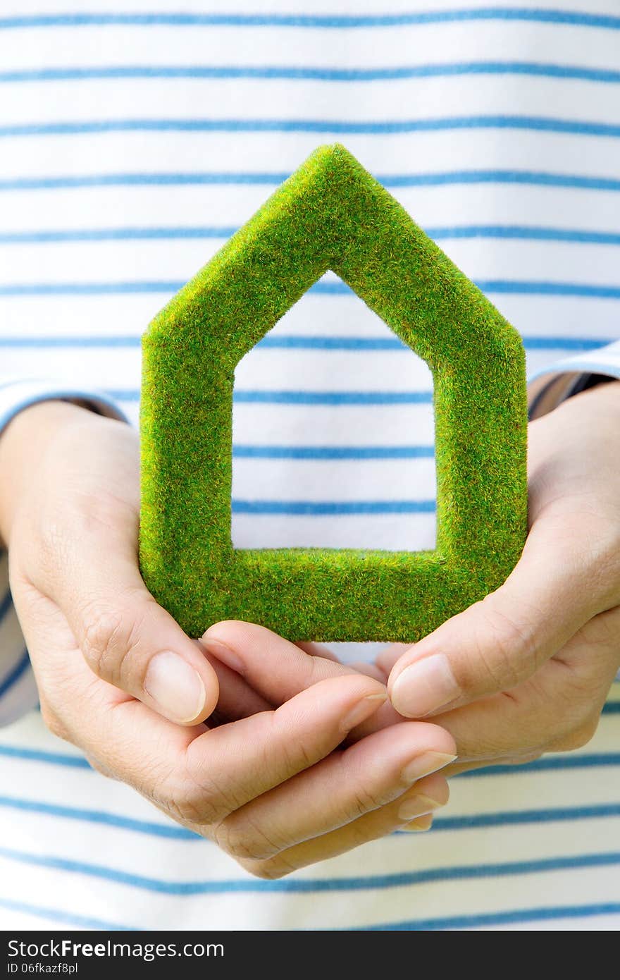 Eco house icon