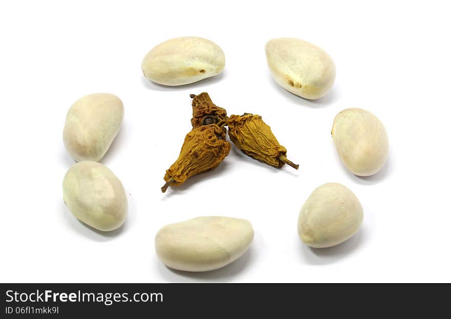 Jackfruit seeds and The dry seeds over white backgruind.