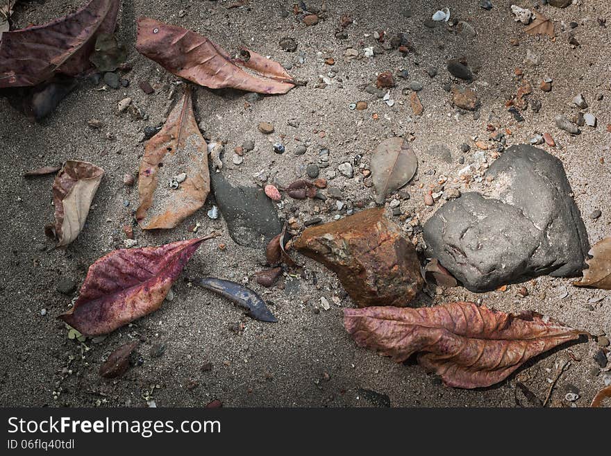 Dry leaf and stone on the sand