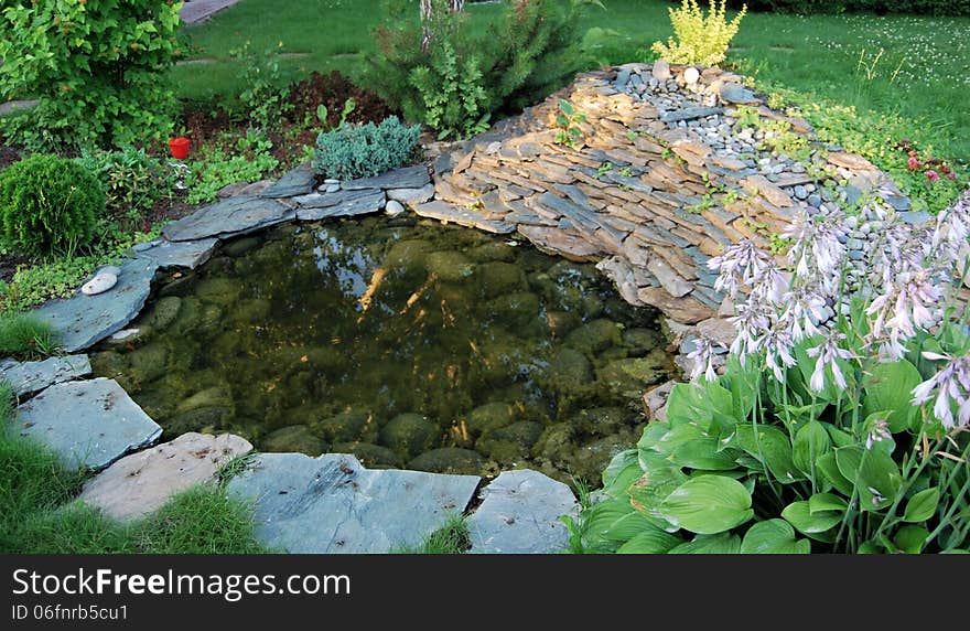 Small pond in the country