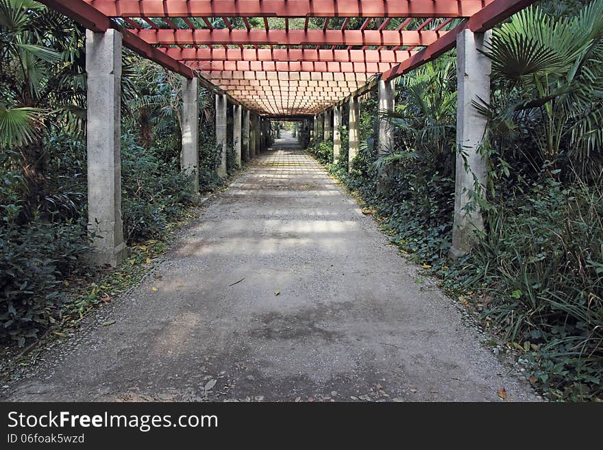 Pergola passage in the garden, surrounded by various trees and plants