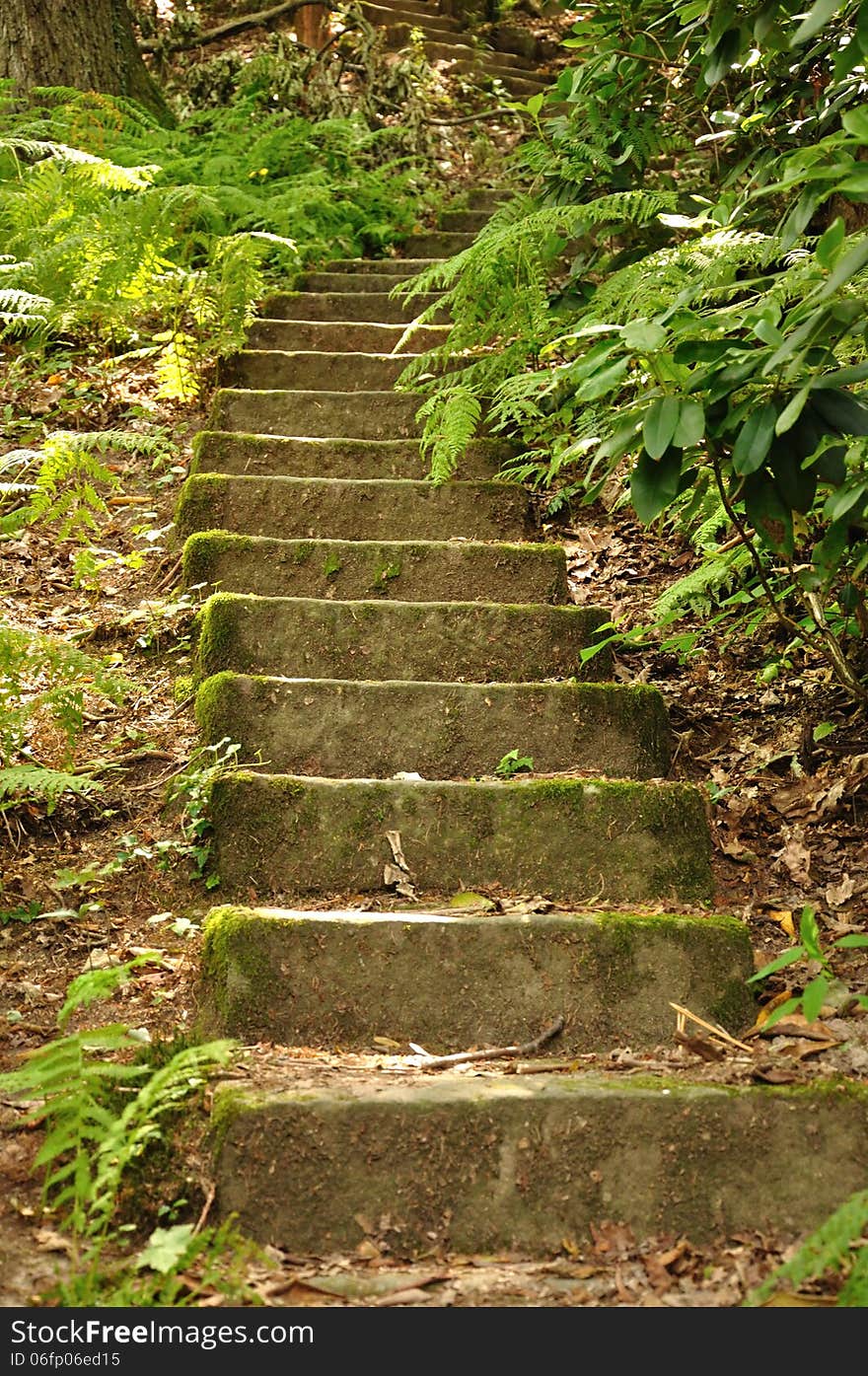 Stairs in the nature near Rathen.