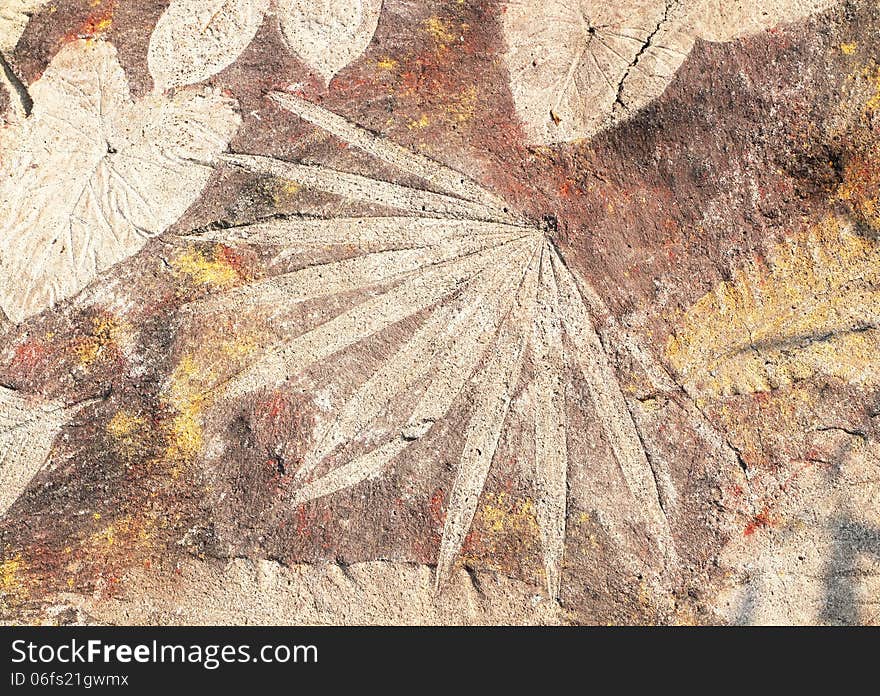 Leaf attached to the stone floor. Leaf attached to the stone floor.