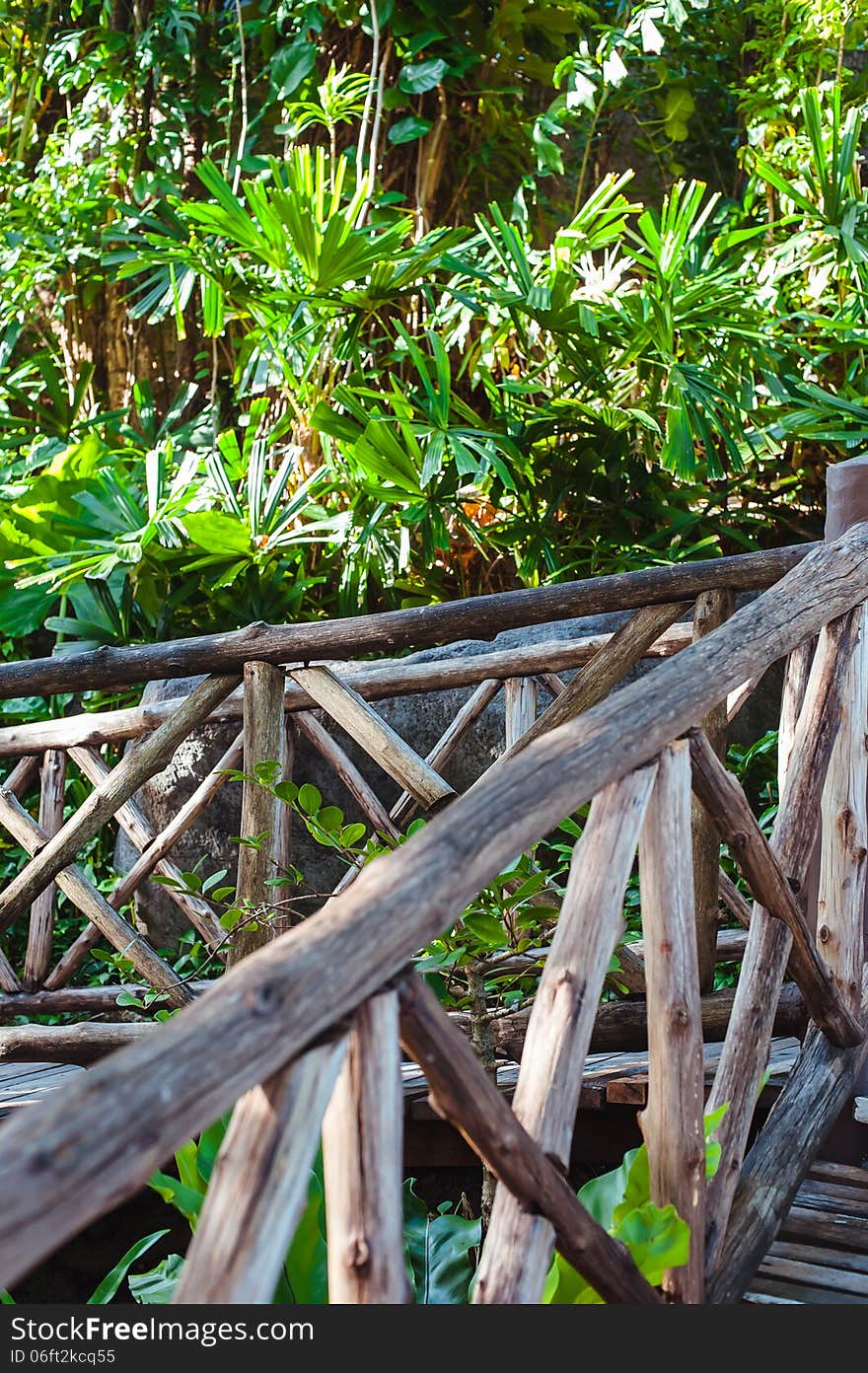 Wood path through tropical forest