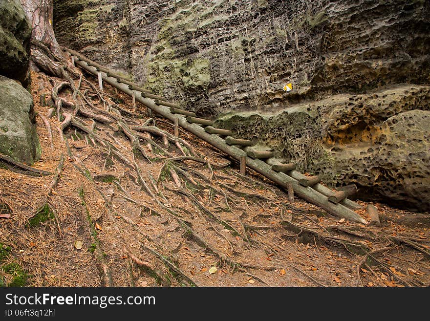 Wooden stairs lead along the rocks, roots above the surface