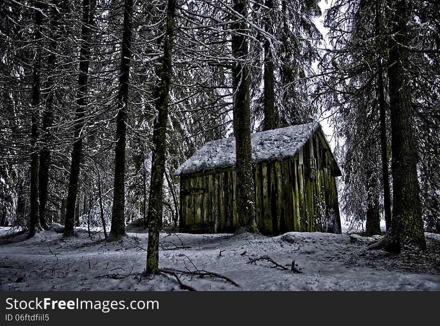 Alpine hut in the wood HDR