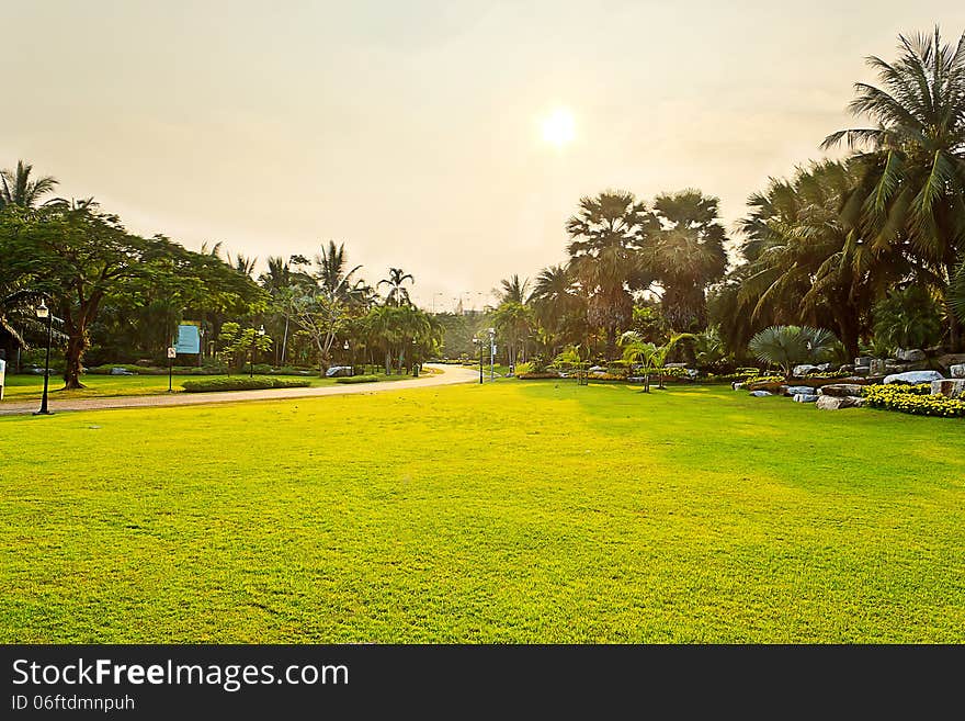 Green public park with sunlight