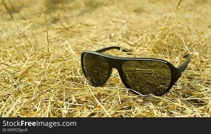 Sunglasses on grass