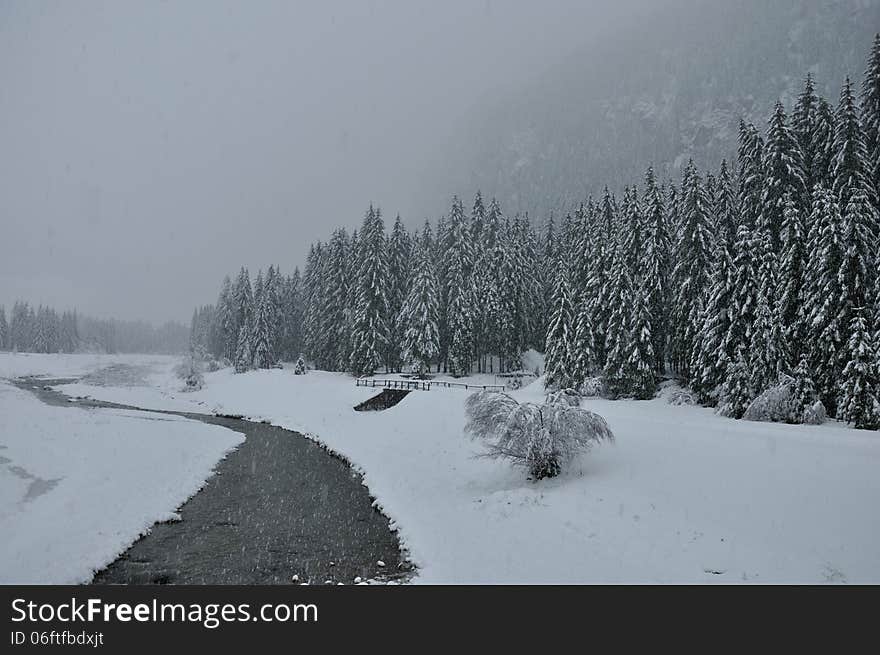 River flowing through a forest during a snowfall. River flowing through a forest during a snowfall