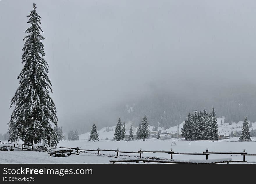 Winter landscape during snowfall in north region of Italy. Winter landscape during snowfall in north region of Italy