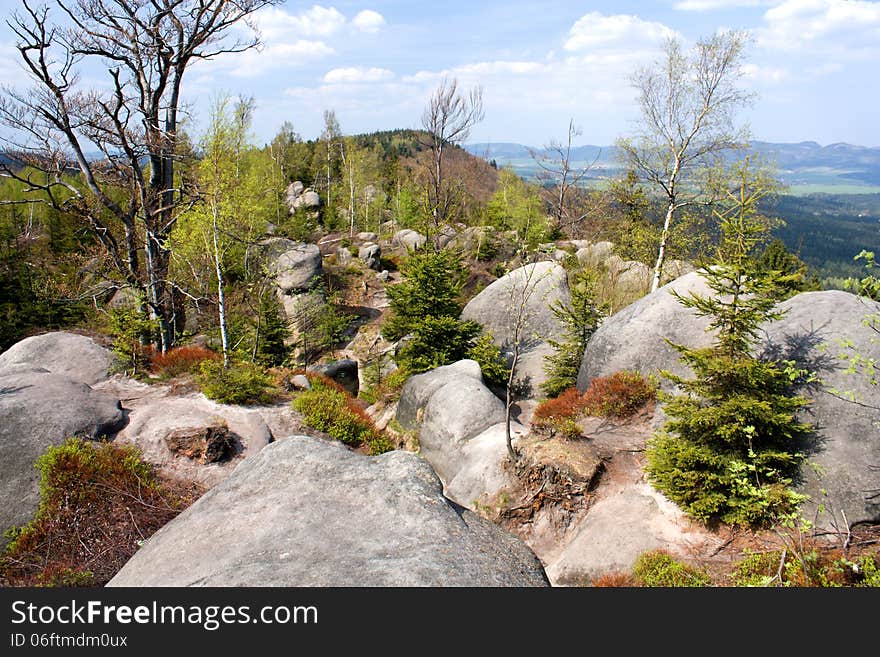 Landscape with rocks and trees between them. Landscape with rocks and trees between them