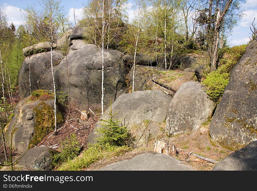 Birch between the rocks, rocky landscape