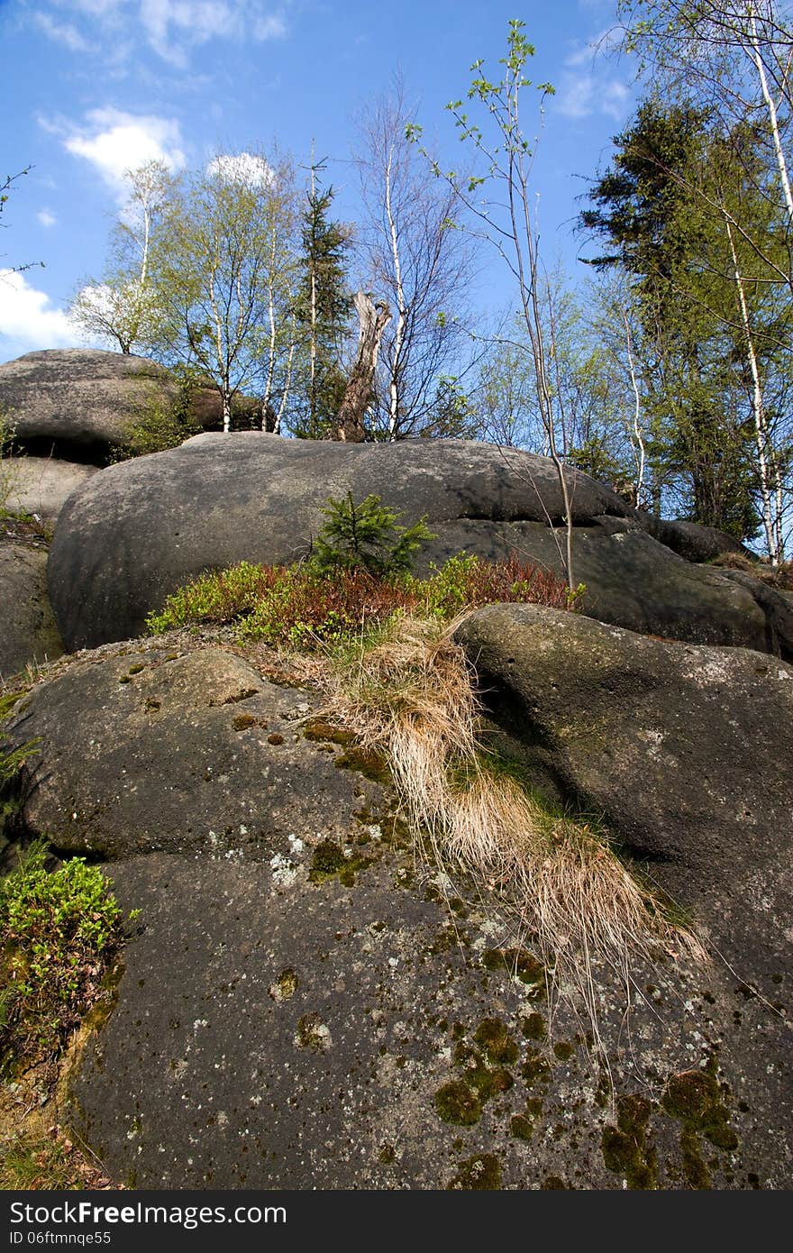 Soaring rocky terrain with trees. Soaring rocky terrain with trees