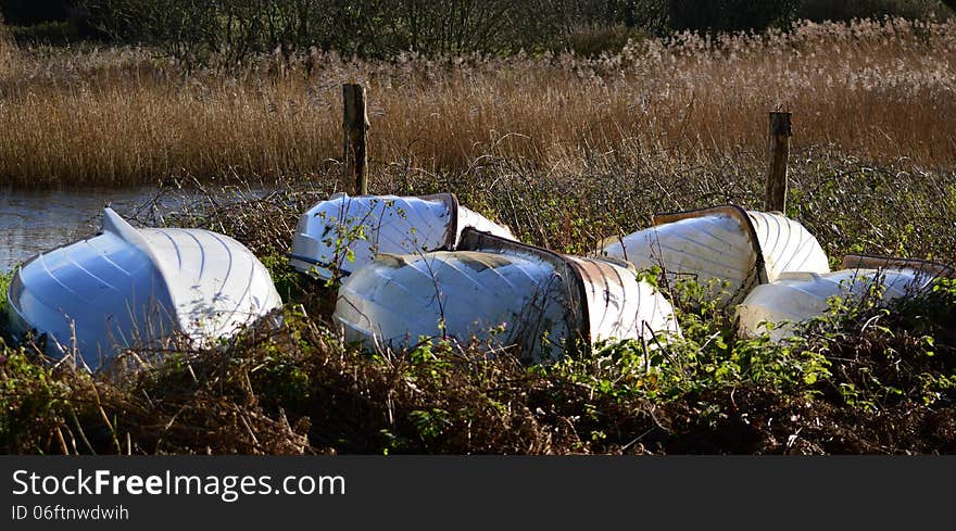 Rowing boats upturned, looking like beetles in the grasses. Rowing boats upturned, looking like beetles in the grasses