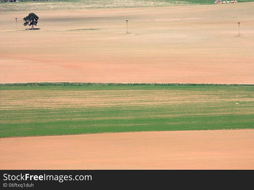 Two-color field, harvested field. Two-color field, harvested field