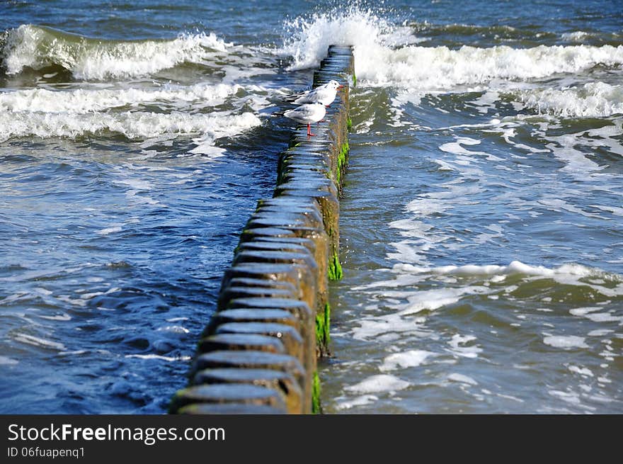 Baltic Sea coast on the island of Usedom - Breakwater