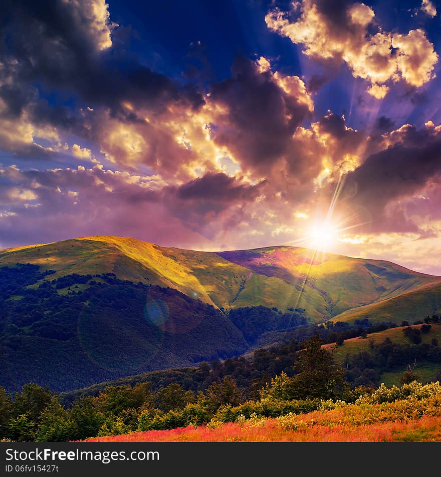 Coniferous forest on a steep mountain slope at sunset