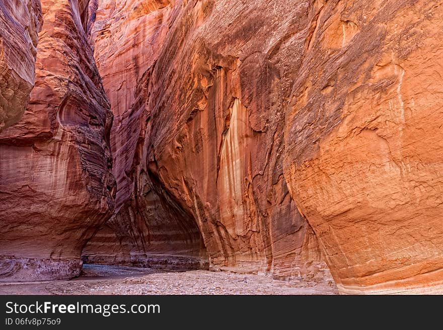 The Paria River flows through this spectacular steep canyon wilderness on our 38 mile backpack down to Lee's Ferry, AZ, The canyon walls widen as we reach our destination, after thousands of stream crossings. The Paria River flows through this spectacular steep canyon wilderness on our 38 mile backpack down to Lee's Ferry, AZ, The canyon walls widen as we reach our destination, after thousands of stream crossings.