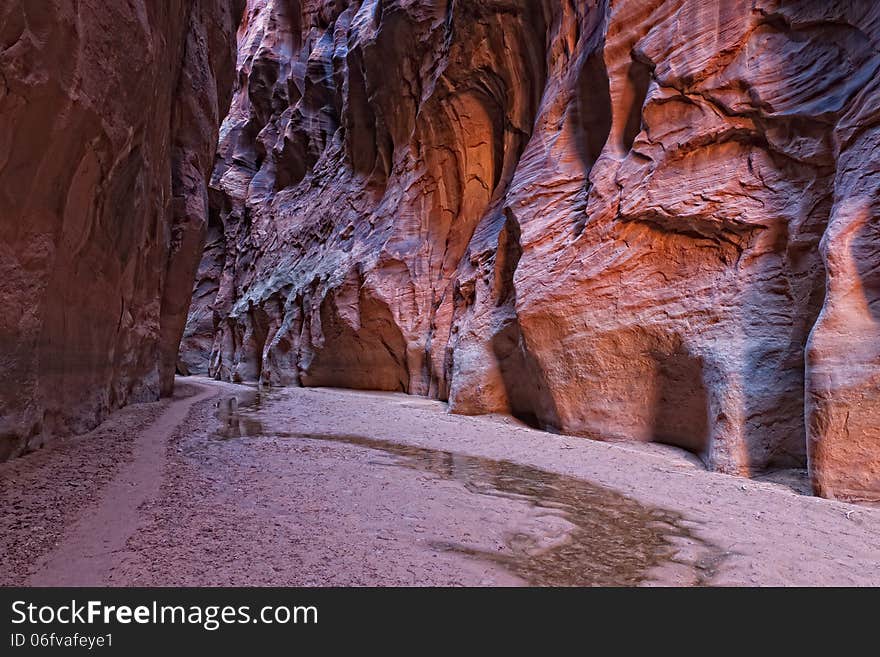 This is Buckskin Canyon, a highly scenic slot canyon, which meets with the Paria River at the confluence. This is Buckskin Canyon, a highly scenic slot canyon, which meets with the Paria River at the confluence.