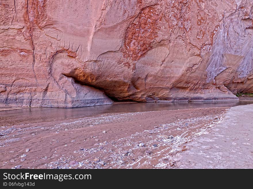 The Paria River flows through this spectacular steep canyon wilderness on our 38 mile backpack down to Lee's Ferry, AZ, The canyon walls widen as we reach our destination, after thousands of stream crossings. The Paria River flows through this spectacular steep canyon wilderness on our 38 mile backpack down to Lee's Ferry, AZ, The canyon walls widen as we reach our destination, after thousands of stream crossings.