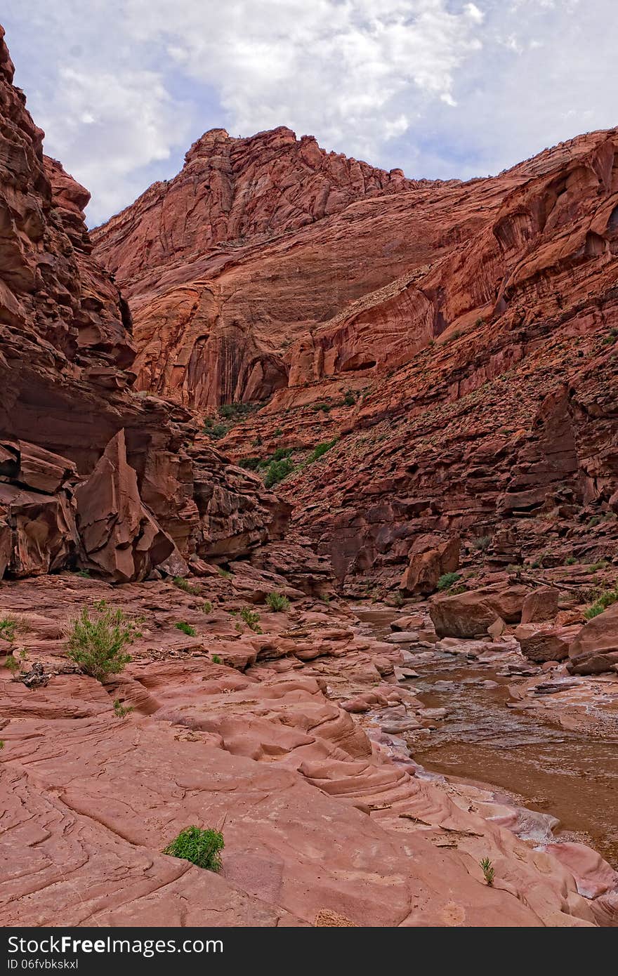 The Paria River flows through this spectacular steep canyon wilderness on our 38 mile backpack down to Lee's Ferry, AZ, The canyon walls widen as we reach our destination, after thousands of stream crossings. The Paria River flows through this spectacular steep canyon wilderness on our 38 mile backpack down to Lee's Ferry, AZ, The canyon walls widen as we reach our destination, after thousands of stream crossings.