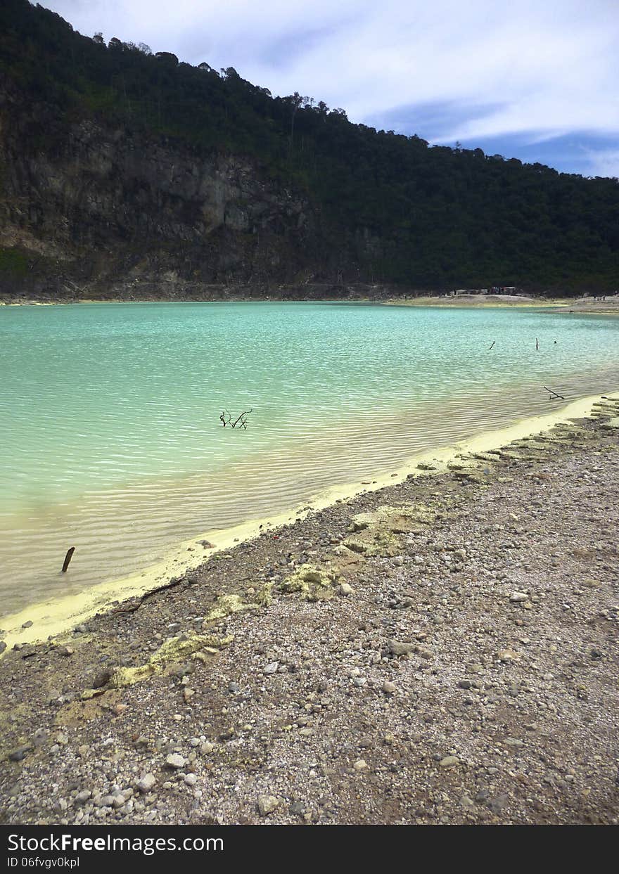 Scene and vegetation in crater Kawah Putih