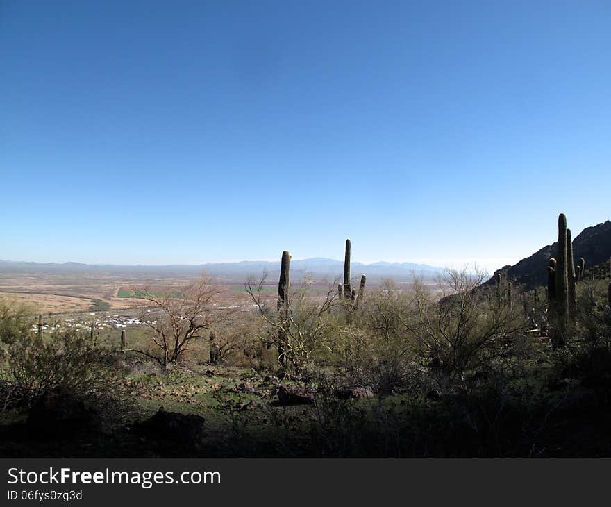 Arizona Desert Landscape