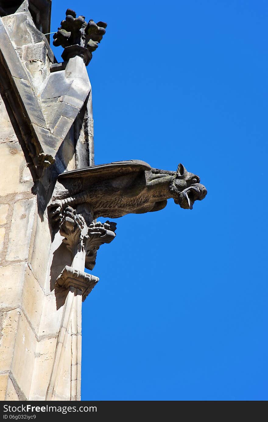 Gargoyle of St. Vitus Cathedral, Prague, Czech Republic