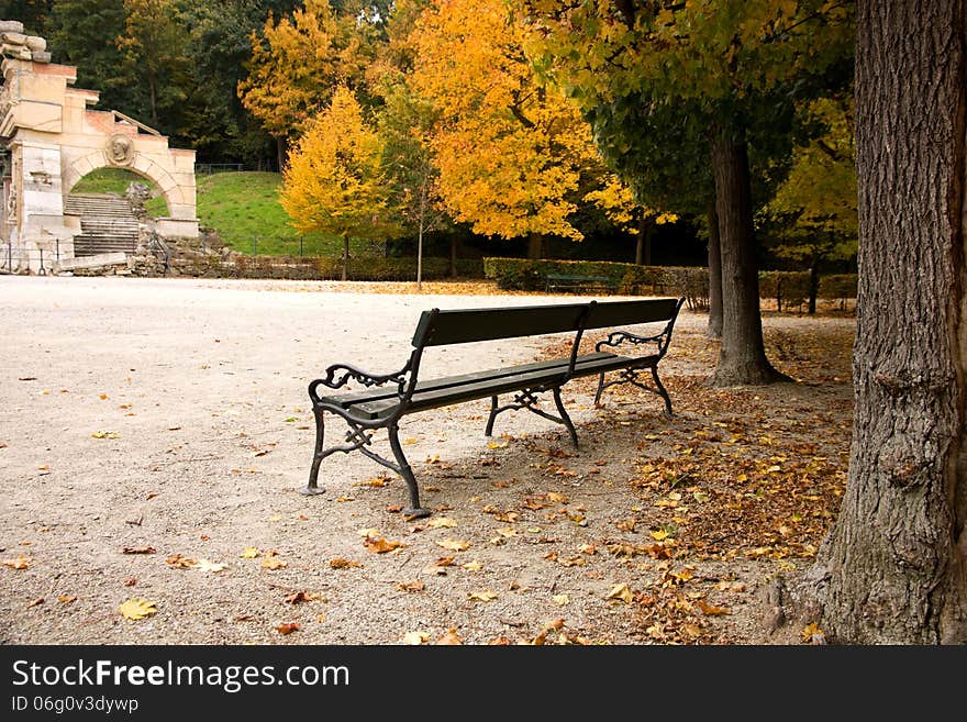 Bench in the park in vienna. Bench in the park in vienna