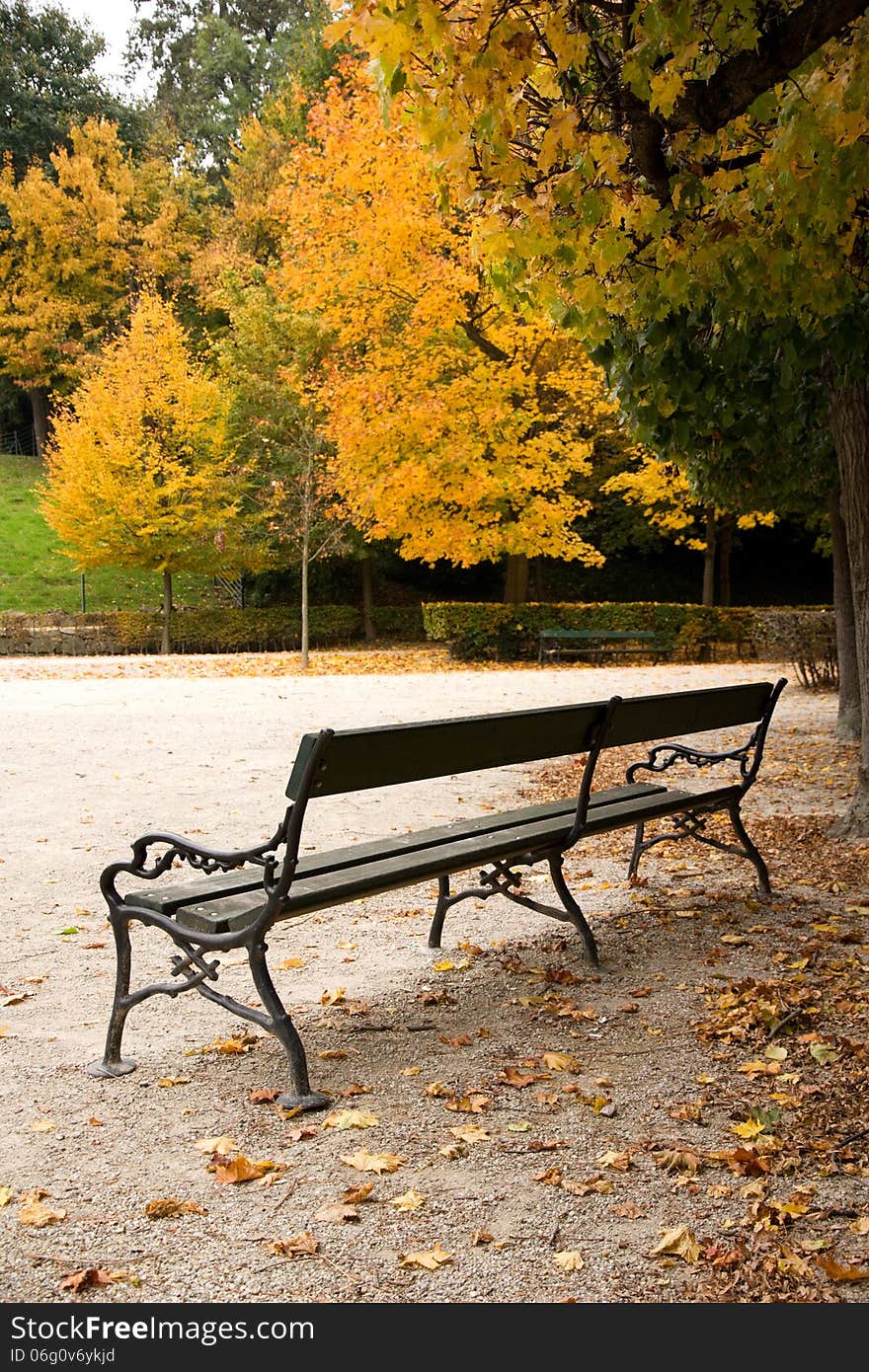 Bench in the park in vienna. Bench in the park in vienna