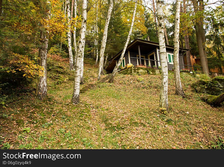 Small wooden cottage in the hills between birch trees